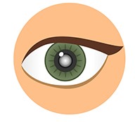 Illustrated close up of eye